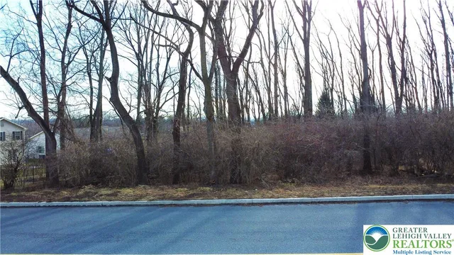 a view of outdoor space with yard