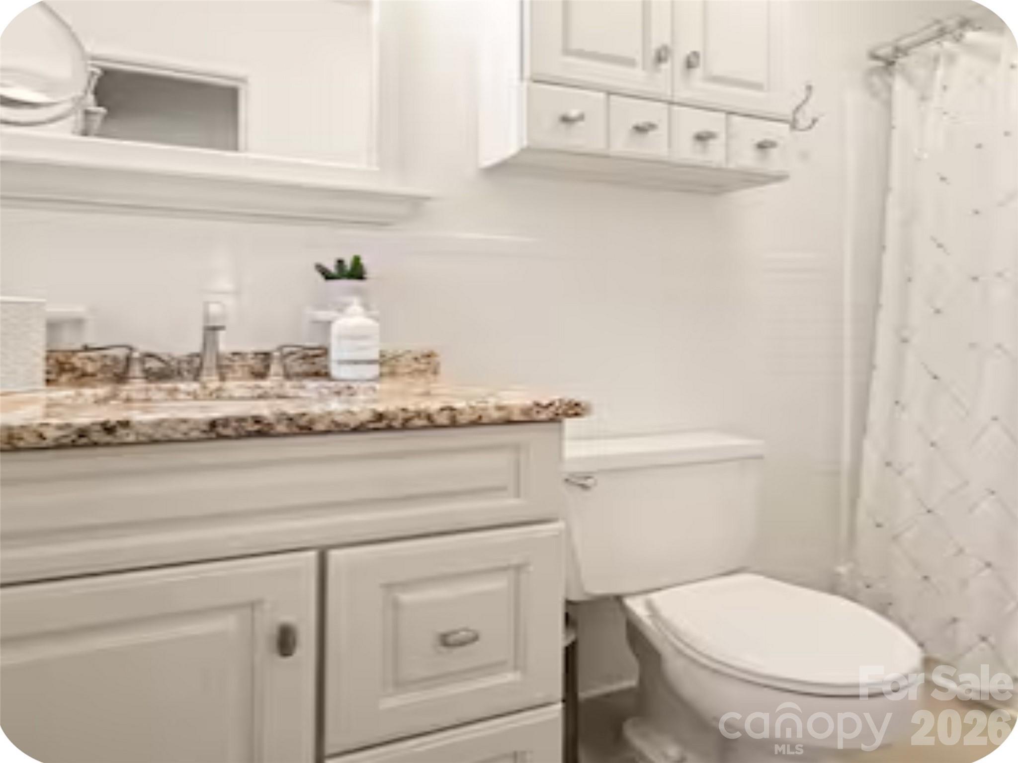 502 Long Shoals Road Arden, NC 28704 - Photo 11 of 32 a bathroom with a granite countertop toilet sink and mirror