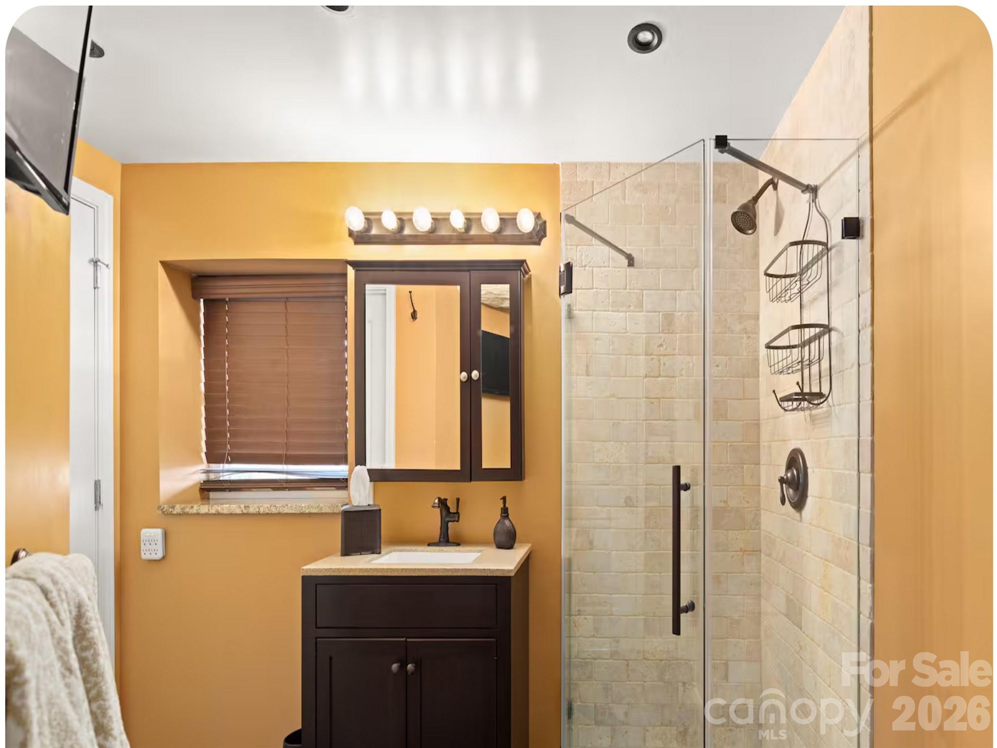 502 Long Shoals Road Arden, NC 28704 - Photo 13 of 32 a bathroom with a mirror and a sink