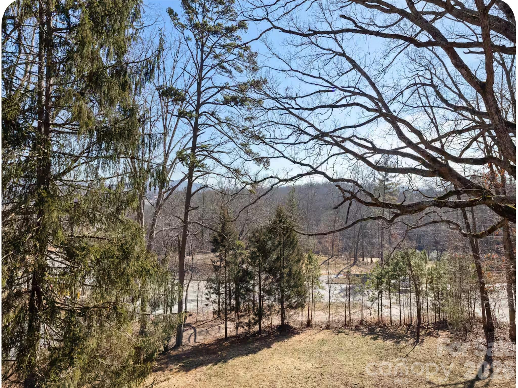 502 Long Shoals Road Arden, NC 28704 - Photo 17 of 31