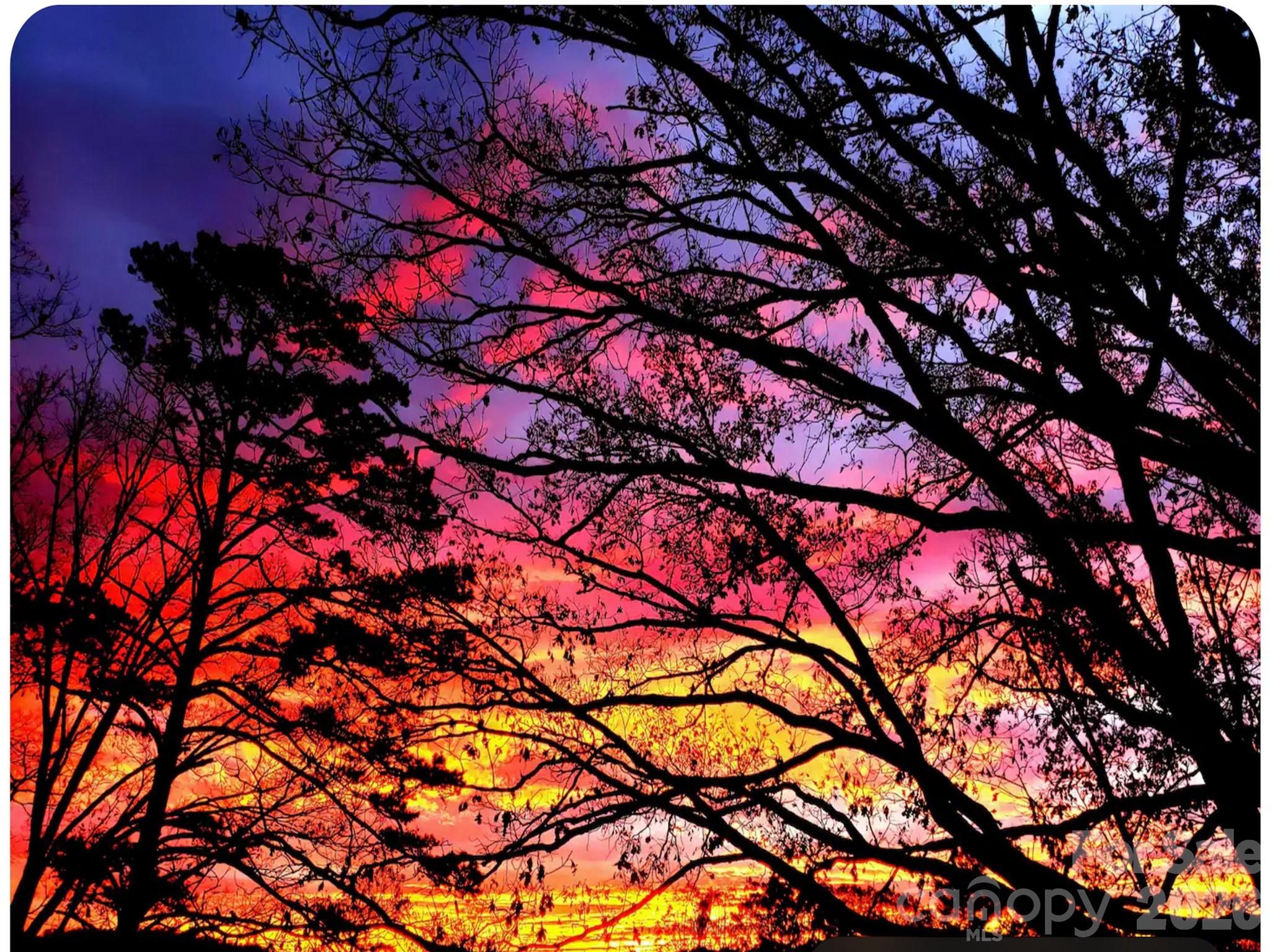 502 Long Shoals Road Arden, NC 28704 - Photo 23 of 31