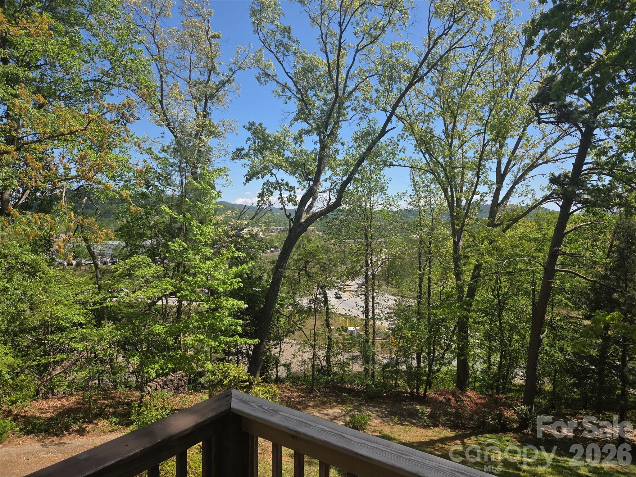 502 Long Shoals Road Arden, NC 28704 - Photo 27 of 31