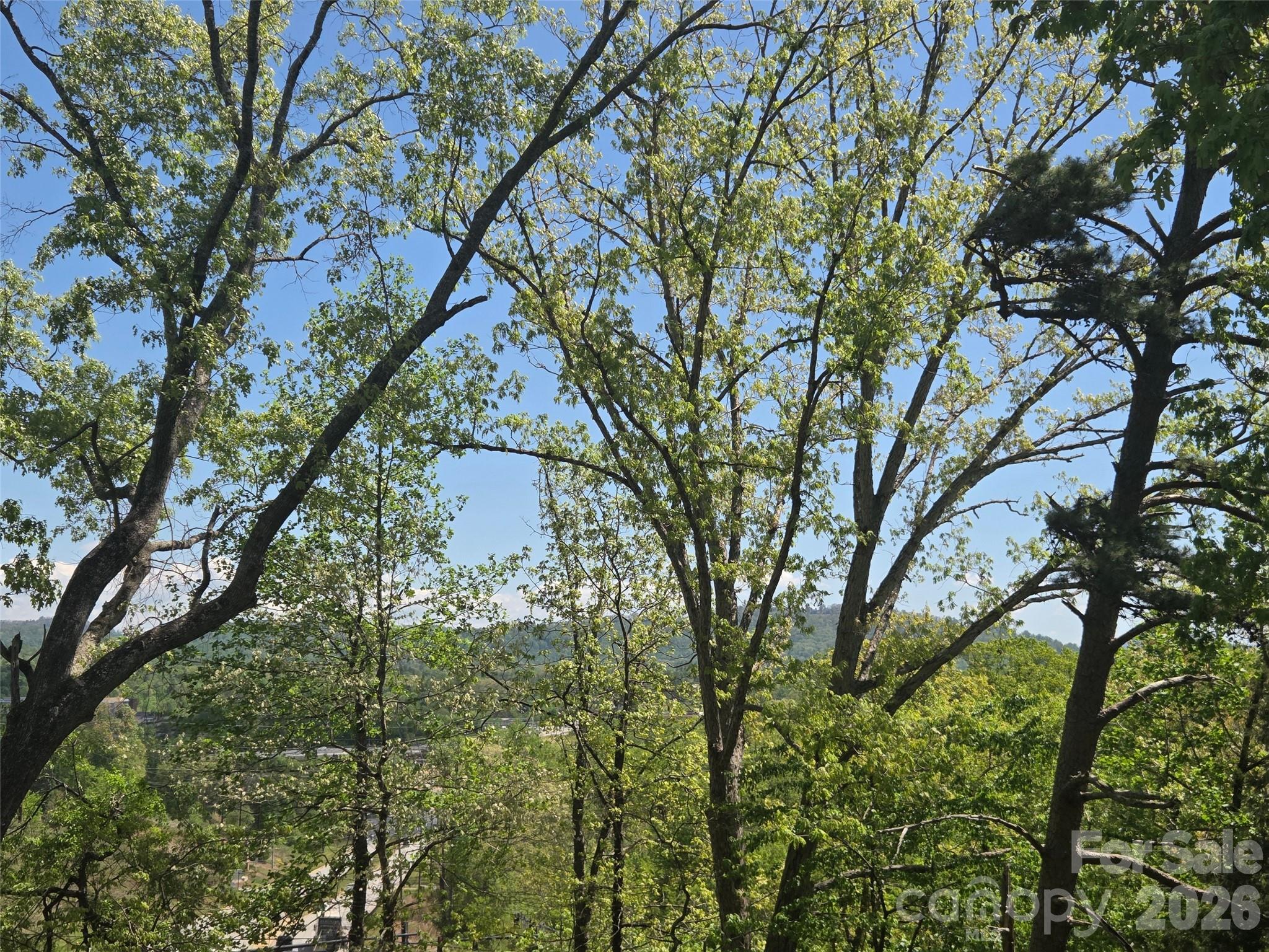 502 Long Shoals Road Arden, NC 28704 - Photo 31 of 32 a backyard of a house with lots of green space