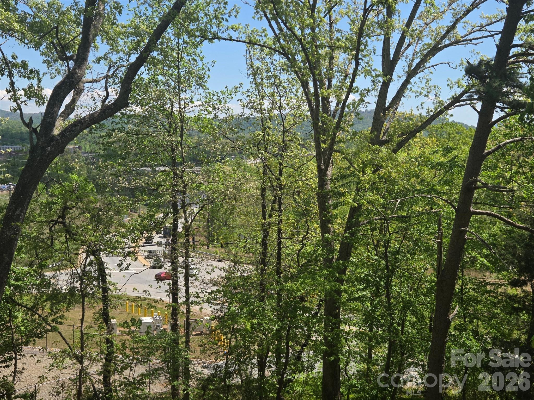 502 Long Shoals Road Arden, NC 28704 - Photo 32 of 32 a view of a forest from a forest