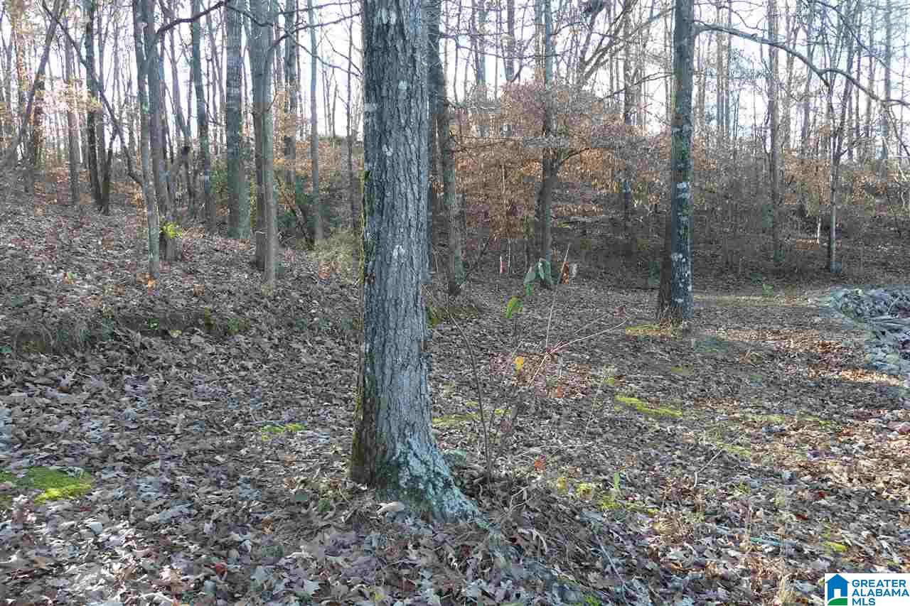 Lot 1 A Red Barn Road, Unit 1A Wedowee, AL 36278 - Photo 5 of 8