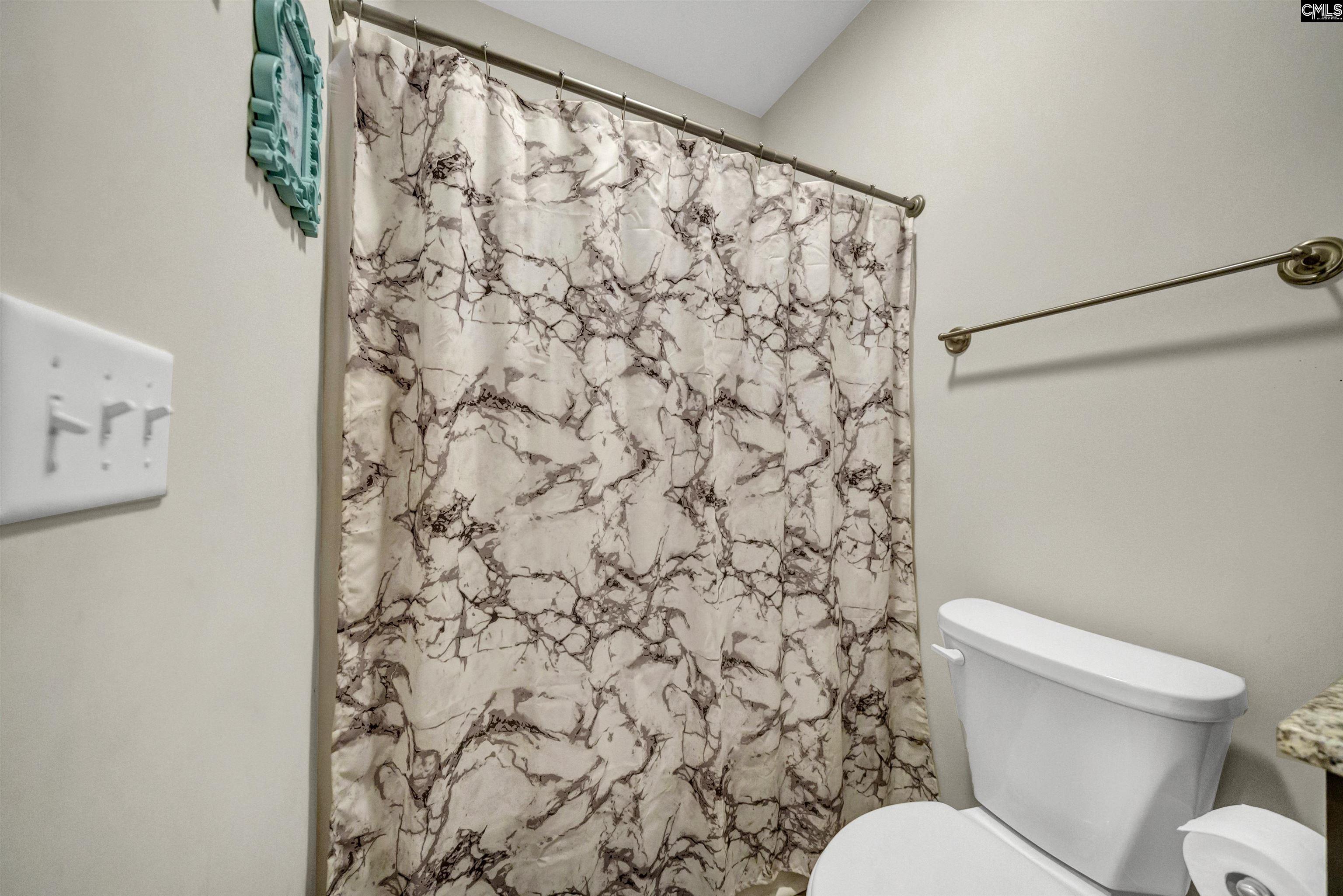 304 Springbrook Way Chapin, SC 29036 - Photo 38 of 53