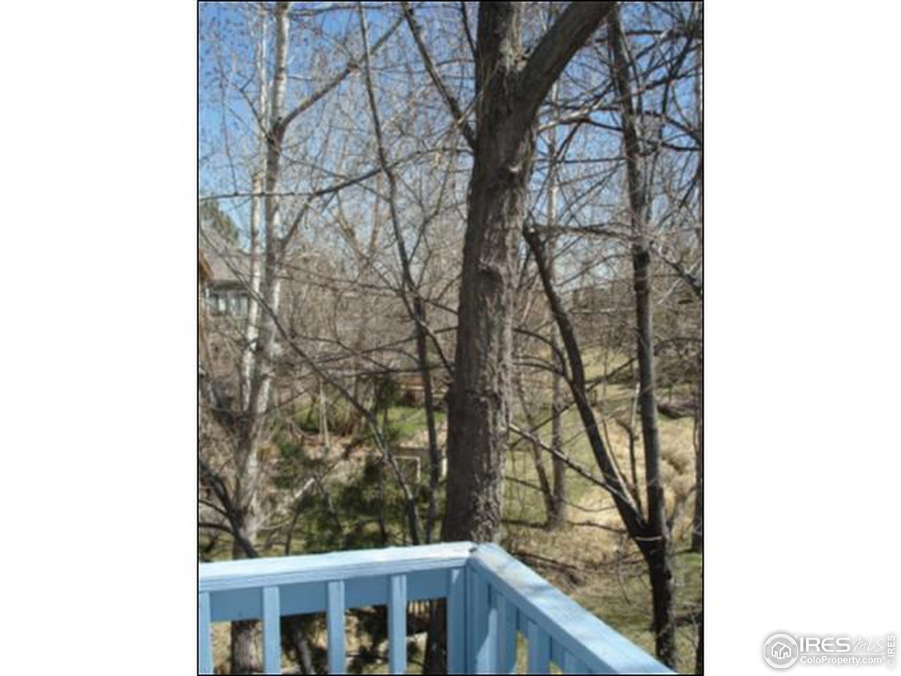 4160 Riverside Avenue Boulder, CO 80304 - Photo 3 of 17 a view of a yard from a balcony
