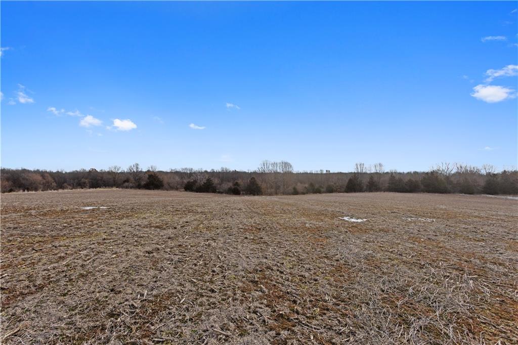 Lot 2 Quinn Road Trimble, MO 64492 - Photo 11 of 16