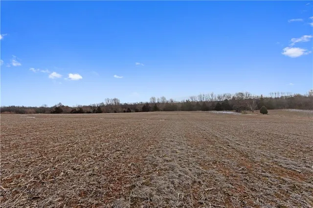 $575,000 | Lot 2 Quinn Road, Trimble, MO 64492