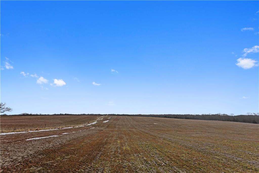 Lot 2 Quinn Road Trimble, MO 64492 - Photo 5 of 16