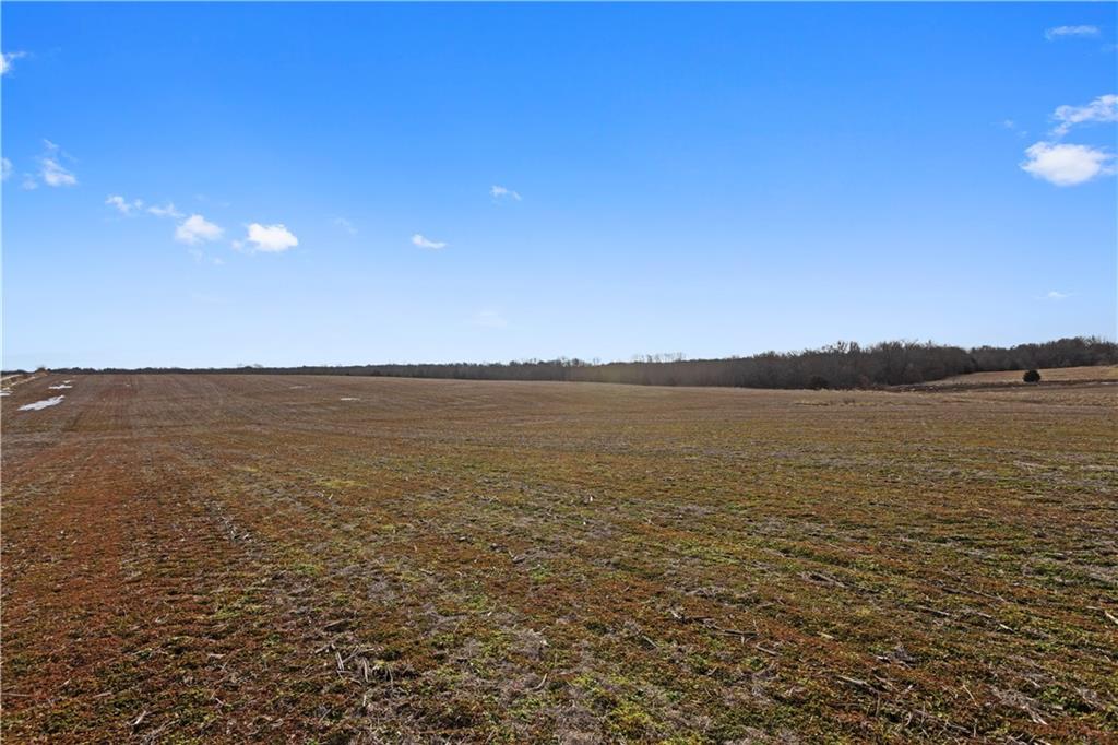 Lot 2 Quinn Road Trimble, MO 64492 - Photo 6 of 16