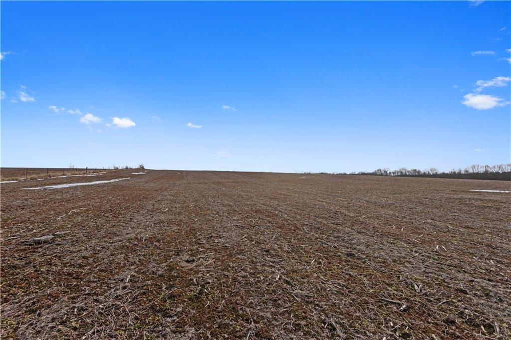 Lot 2 Quinn Road Trimble, MO 64492 - Photo 9 of 16