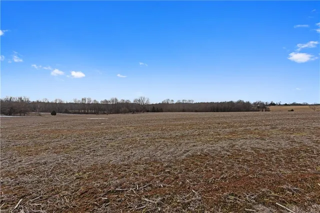 $575,000 | Lot 2 Quinn Road, Trimble, MO 64492
