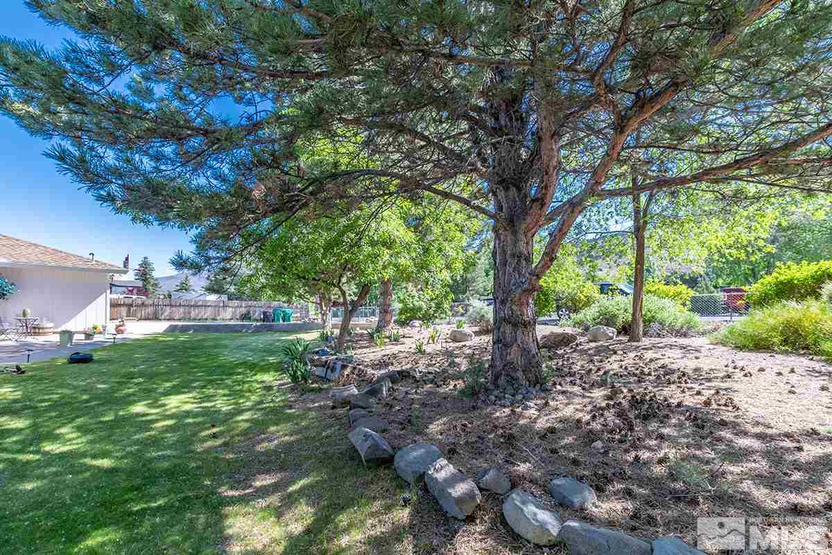 13805 Virginia Foothills Drive Reno, NV 89521 - Photo 5 of 25 a backyard of a house with lots of green space
