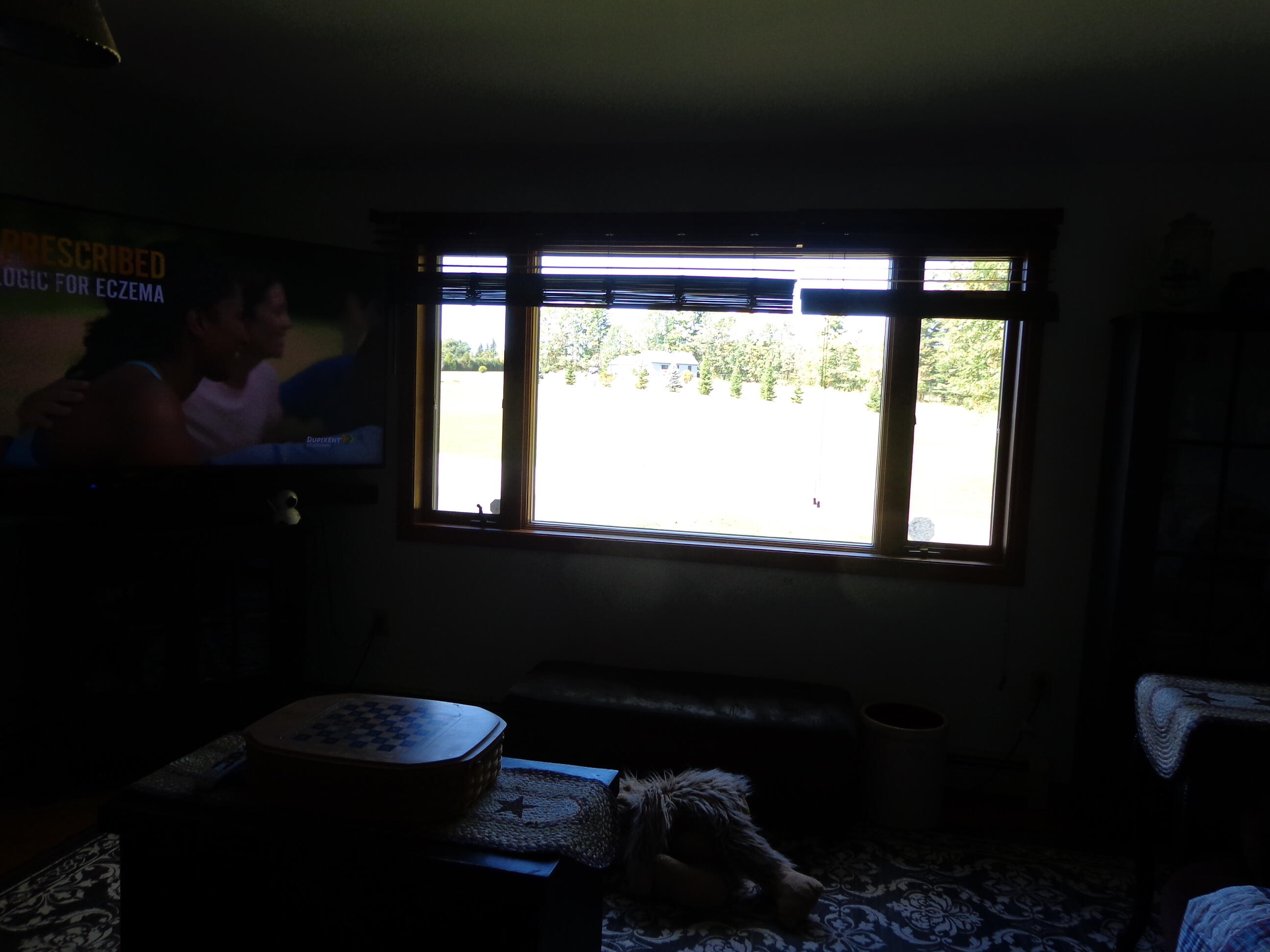 19 Rodrigue Lane Shapleigh, ME 04076 - Photo 13 of 45 DSC04515