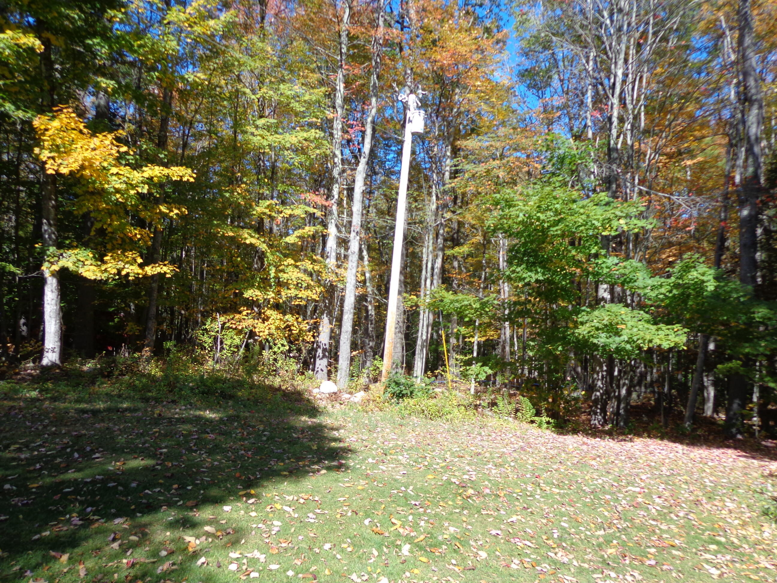 19 Rodrigue Lane Shapleigh, ME 04076 - Photo 42 of 45 DSC04551