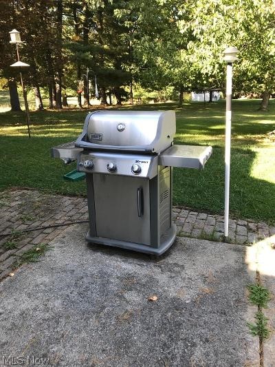2100 West Sprague Road Cleveland, OH 44134 - Photo 29 of 34 Natural Gas piped Stainless Grill on Patio.