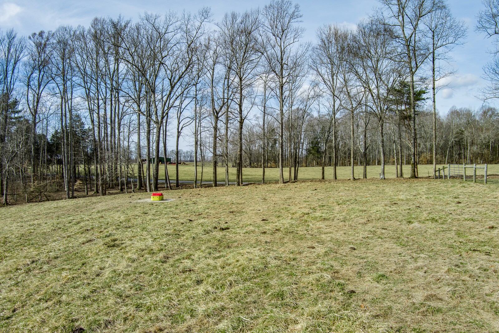 4250 Moss Road Baxter, TN 38544 - Photo 16 of 69 a view of outdoor space with trees