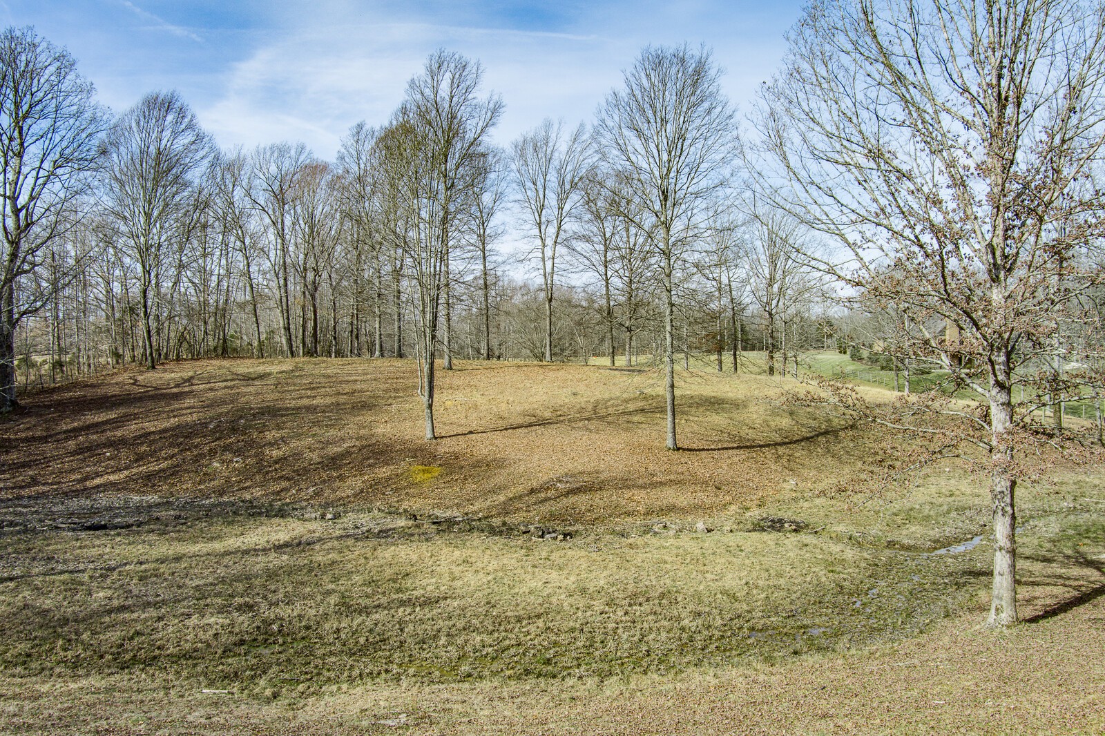 4250 Moss Road Baxter, TN 38544 - Photo 18 of 69 a view of empty space with trees