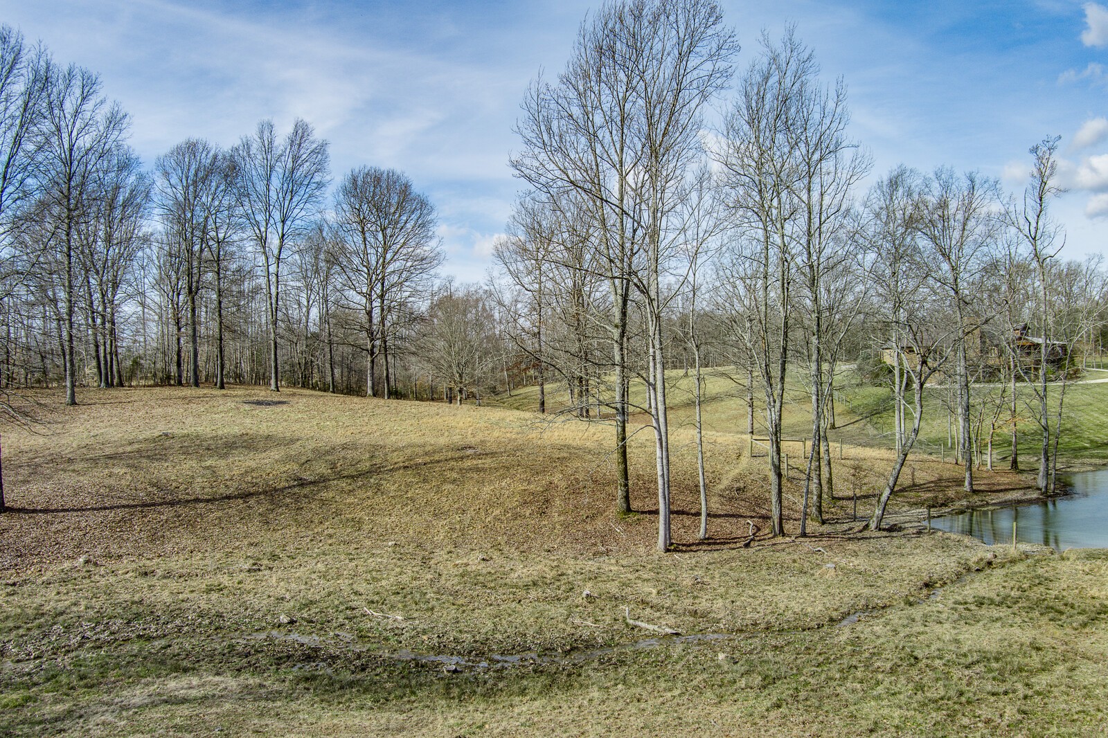 4250 Moss Road Baxter, TN 38544 - Photo 22 of 69