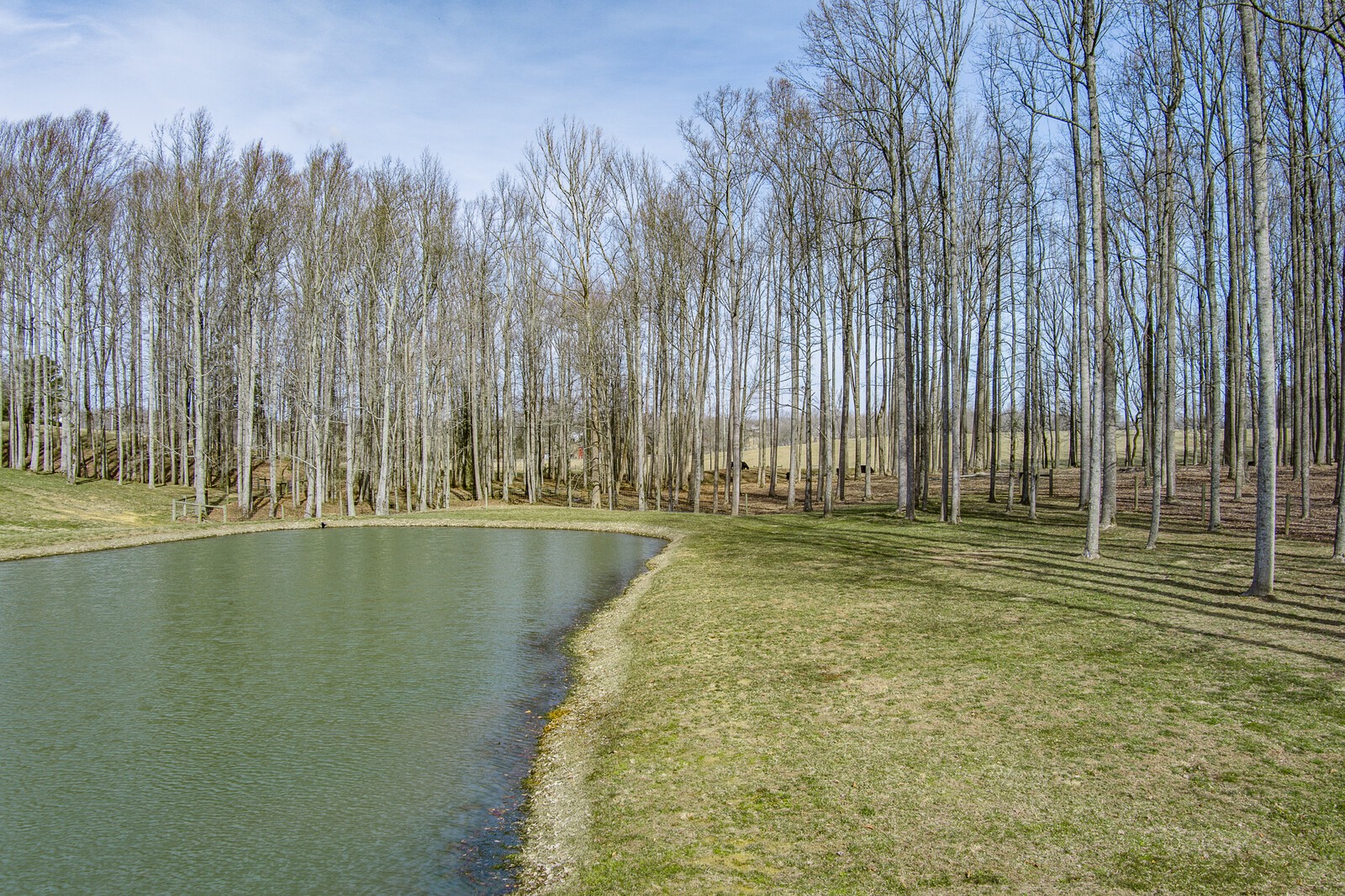 4250 Moss Road Baxter, TN 38544 - Photo 24 of 69