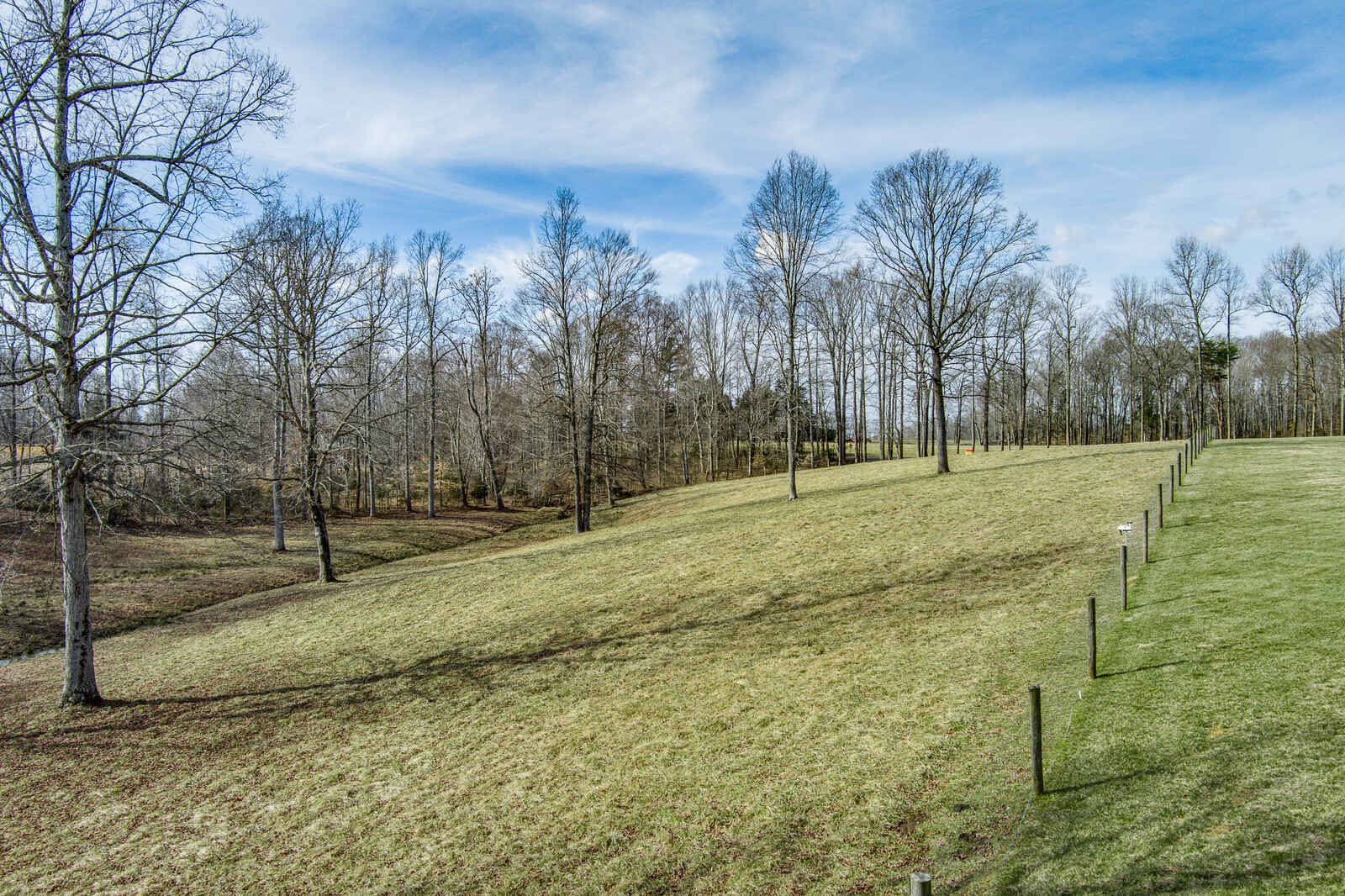 4250 Moss Road Baxter, TN 38544 - Photo 30 of 69 a view of outdoor space with trees