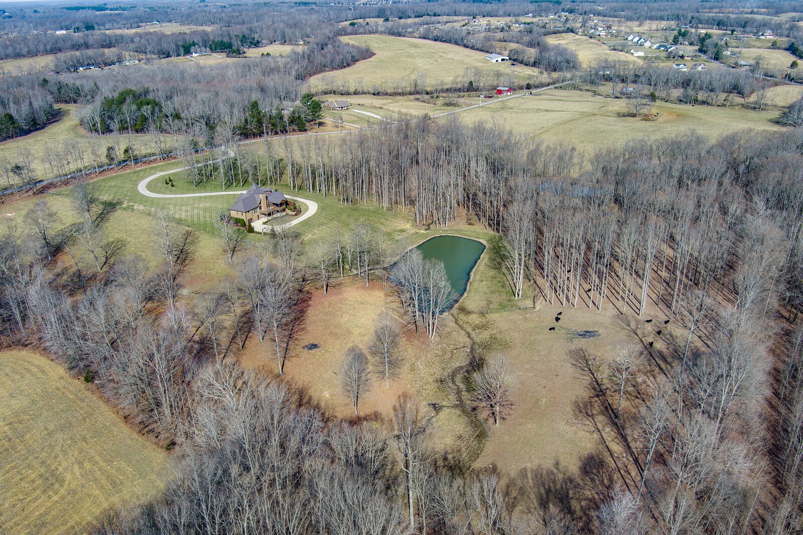 4250 Moss Road Baxter, TN 38544 - Photo 36 of 69 a view of swimming pool with a yard and lake view