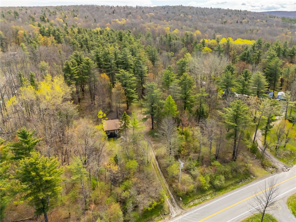 6057 Gulick Road Naples, NY 14512 - Photo 14 of 19