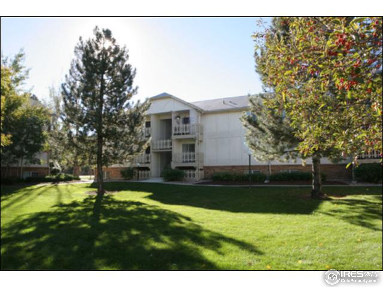 1024 East Swallow Road, Unit 212 Fort Collins, CO 80525 - Photo 2 of 10 Gallery Image 2