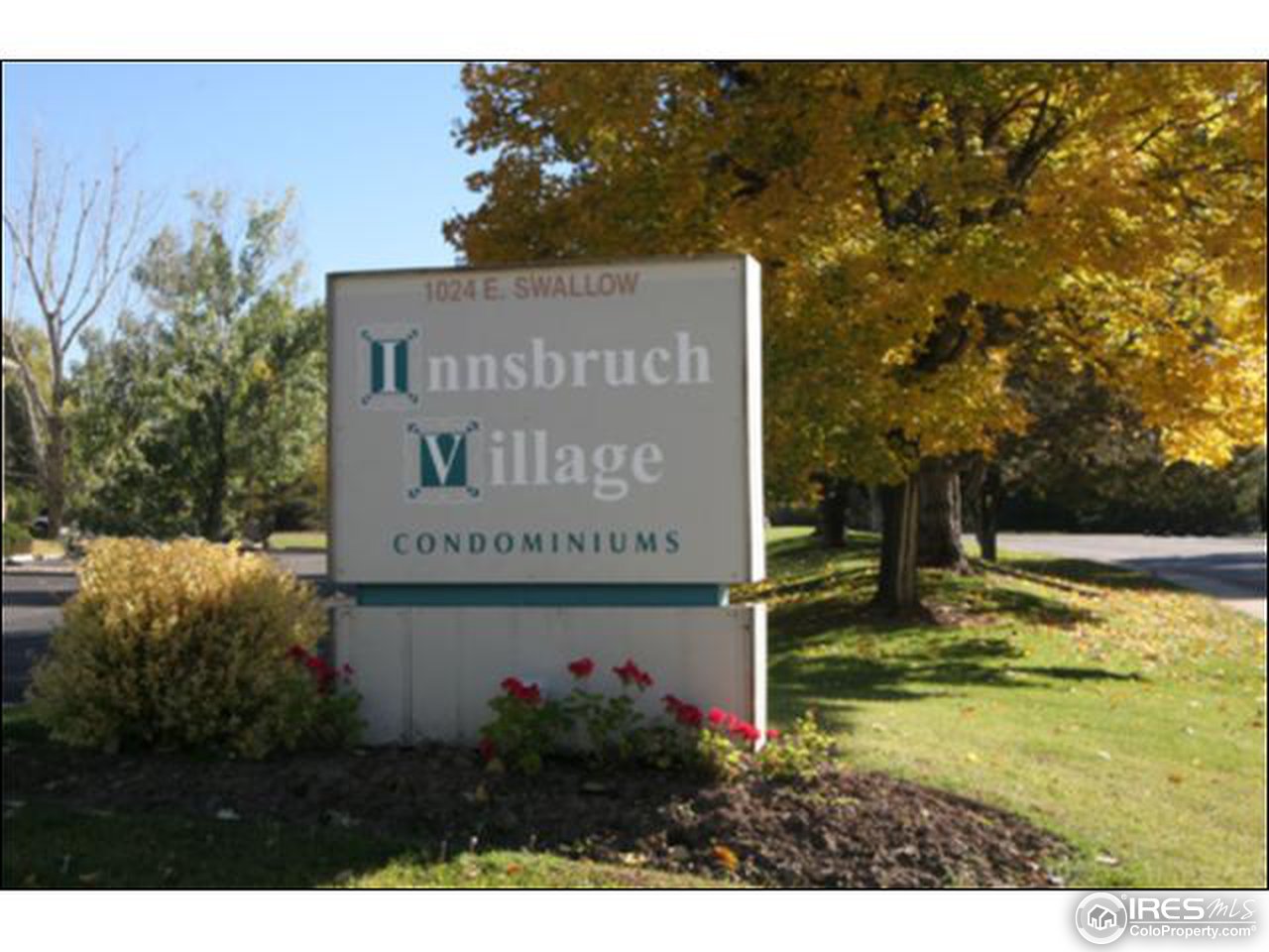 1024 East Swallow Road, Unit 212 Fort Collins, CO 80525 - Photo 3 of 10 Gallery Image 3