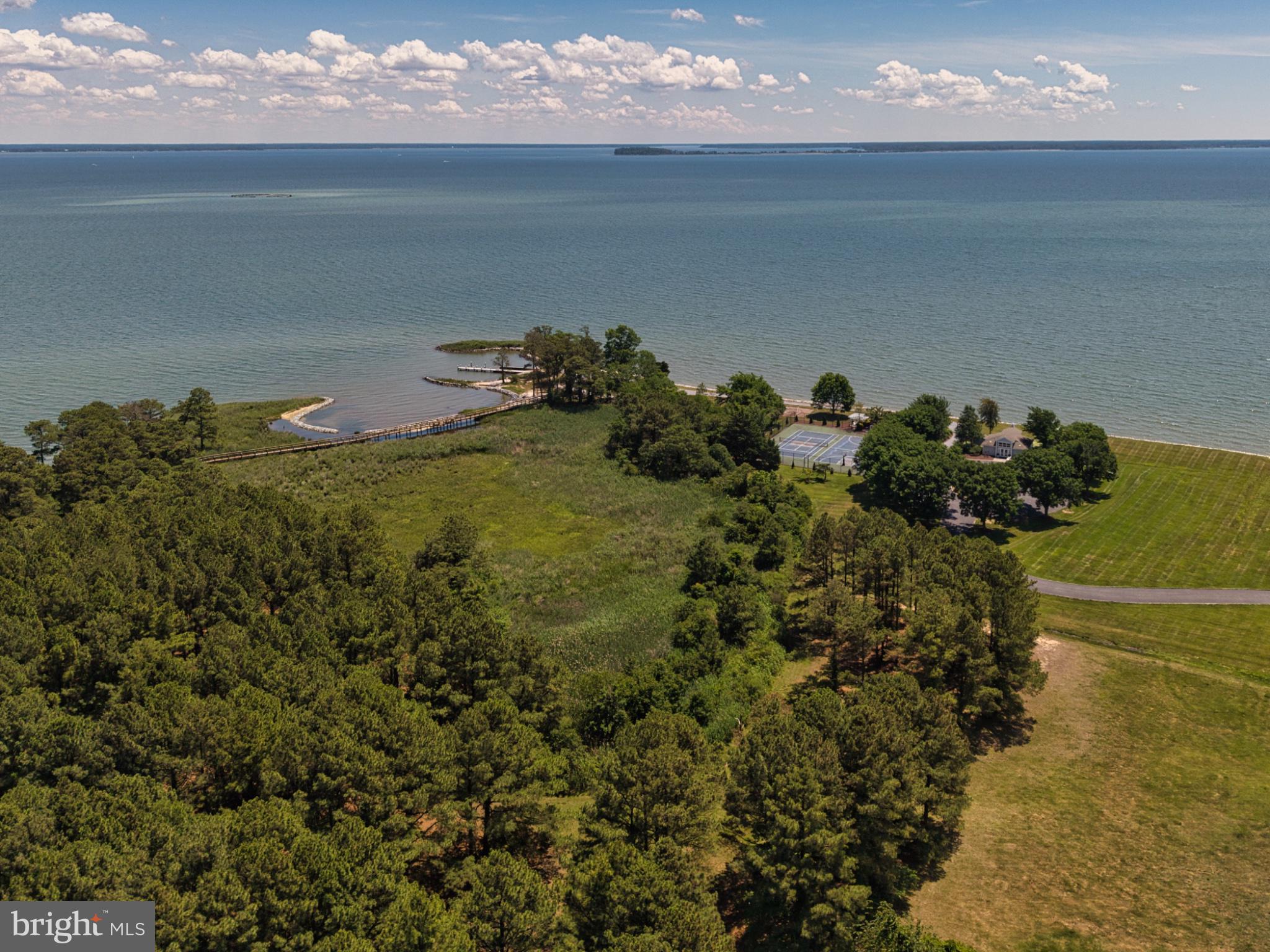 2882 Cox Neck Road Chester, MD 21619 - Photo 14 of 93