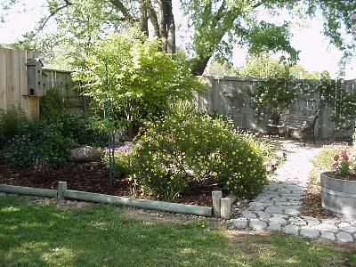 970 Emily Avenue Rohnert Park, CA 94928 - Photo 8 of 12 Ah...What a Yard to relax in! Private with patio!
