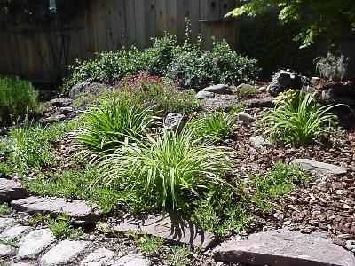 970 Emily Avenue Rohnert Park, CA 94928 - Photo 10 of 12 More Flowering Garden!