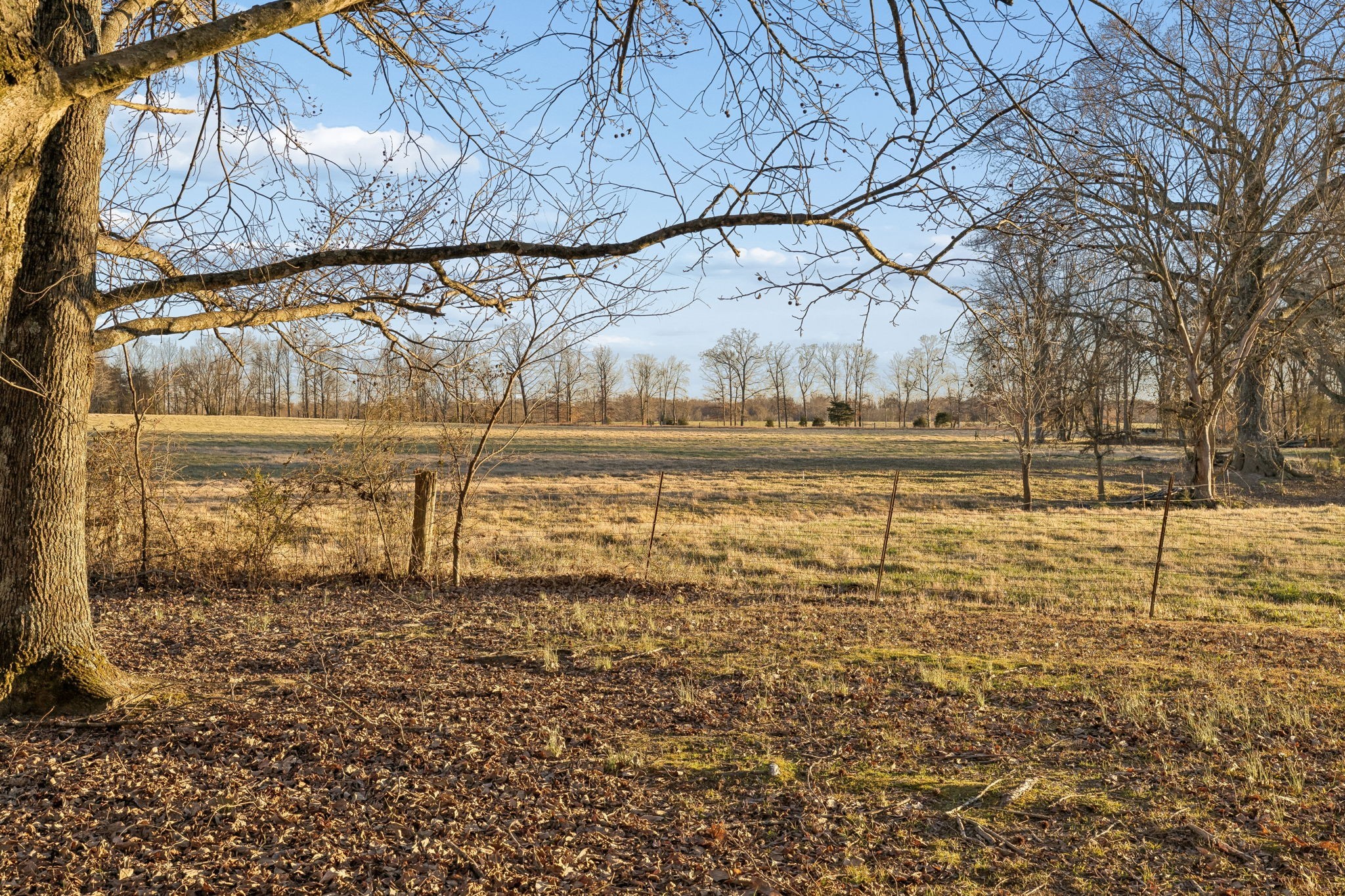 1337 Oaklawn Road Chapmansboro, TN 37035 - Photo 23 of 29