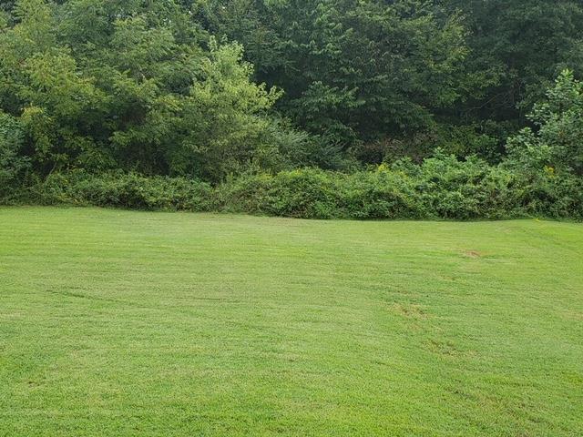 7381 Peaceful Acres Road Greenbrier, TN 37073 - Photo 3 of 15 a view of a ocean view