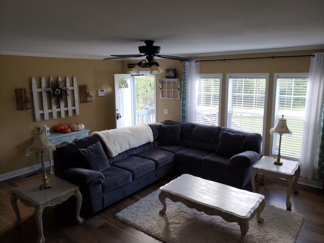 7381 Peaceful Acres Road Greenbrier, TN 37073 - Photo 5 of 15 a living room with furniture and a window