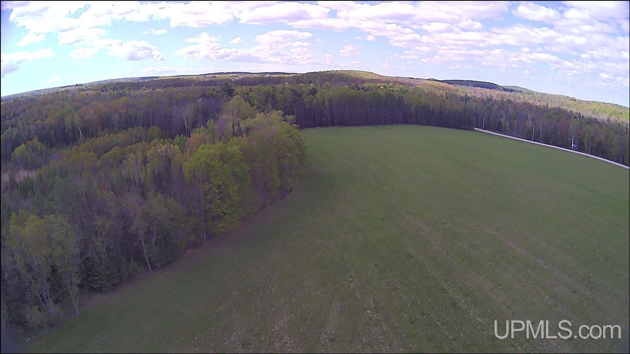 N19598 Swede Road Perronville, MI 49873 - Photo 39 of 59