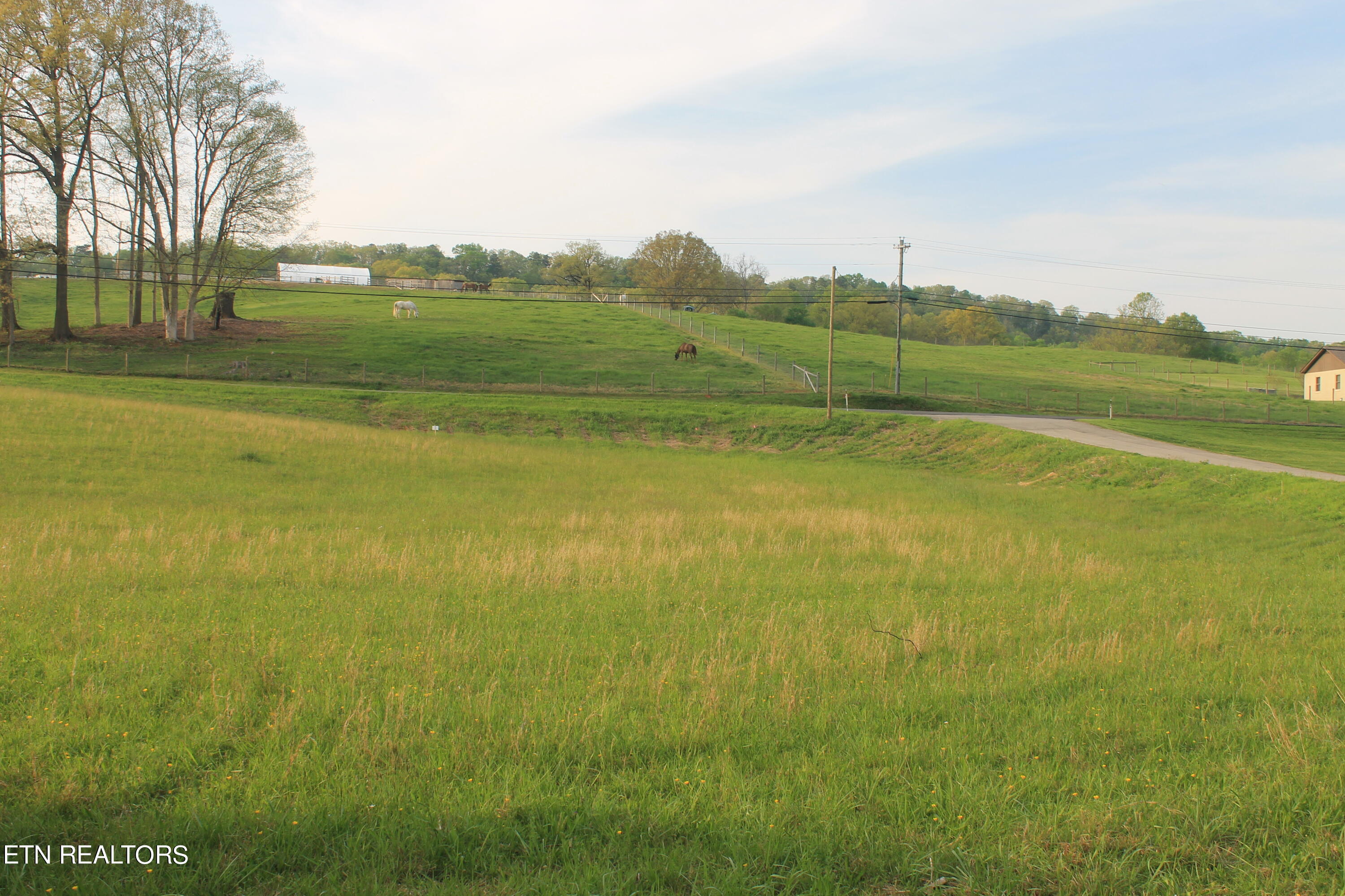 Lot 3 Roddy Branch Road Rockford, TN 37853 - Photo 6 of 17 IMG_1382