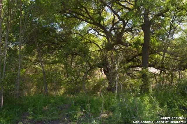 $252,000 | 5797 Blacksmith Way, Marion, TX 78124