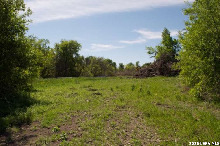 5797 Blacksmith Way Marion, TX 78124 - Photo 4 of 6 a view of a garden