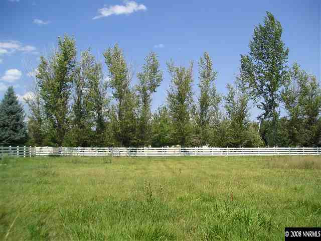 1175 Del Monte Lane Reno, NV 89511 - Photo 6 of 6 a view of a green field with trees in the background