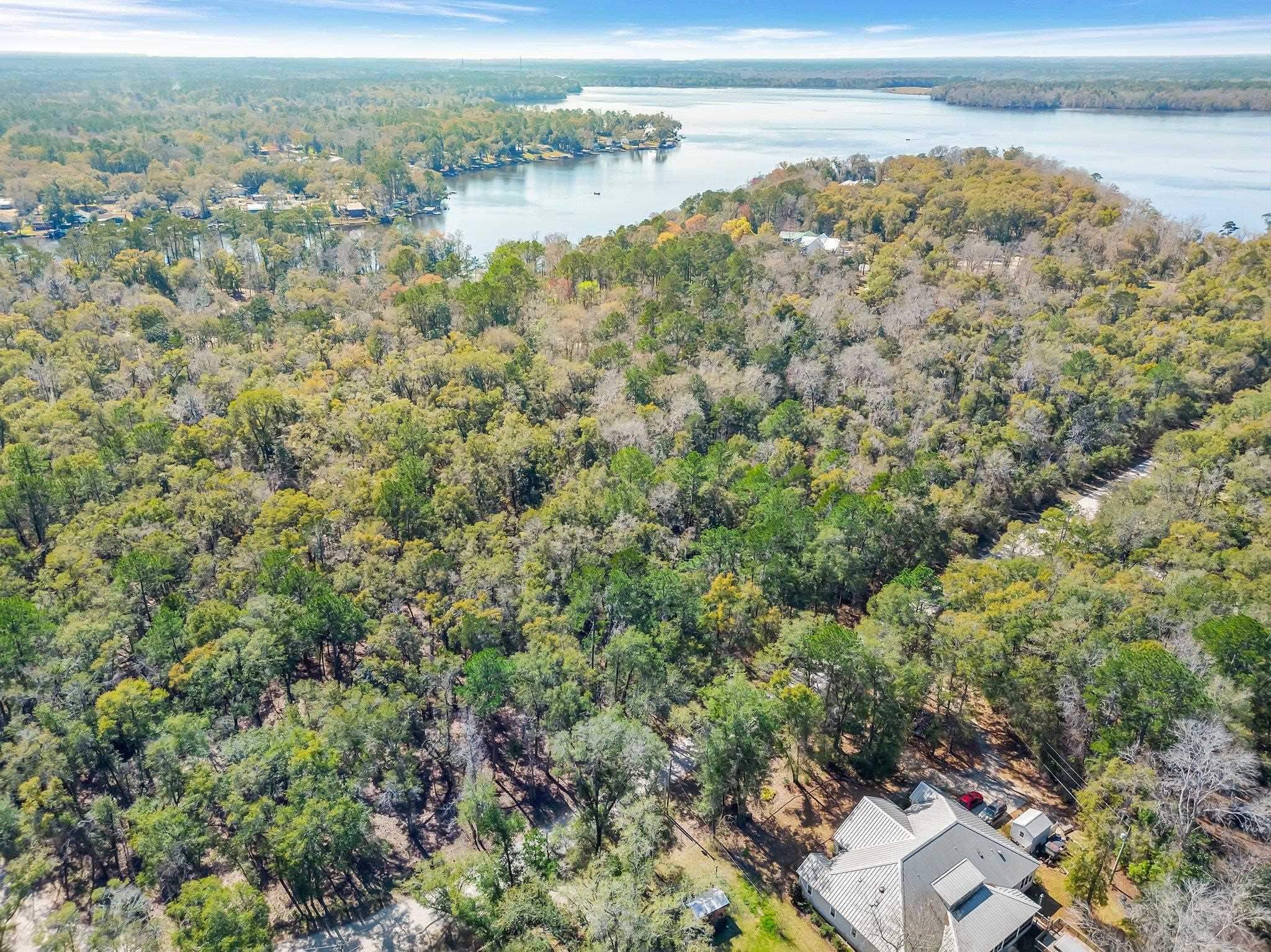 0 Parramore Shores Road Tallahassee, FL 32310 - Photo 13 of 14