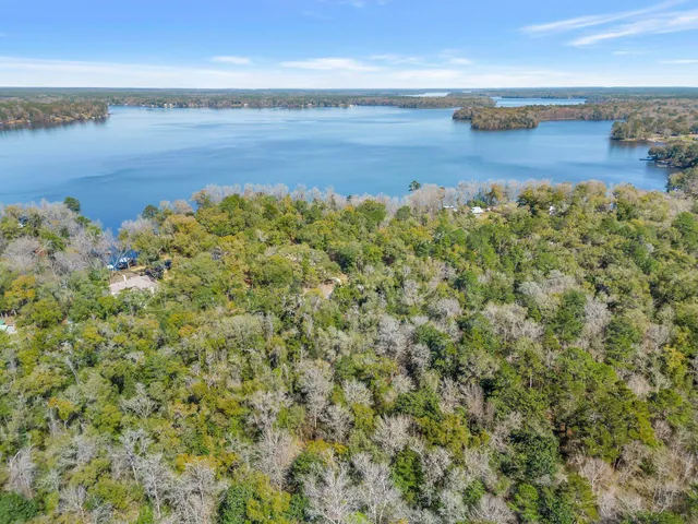 $45,000 | 0 Parramore Shores Road, Tallahassee, FL 32310