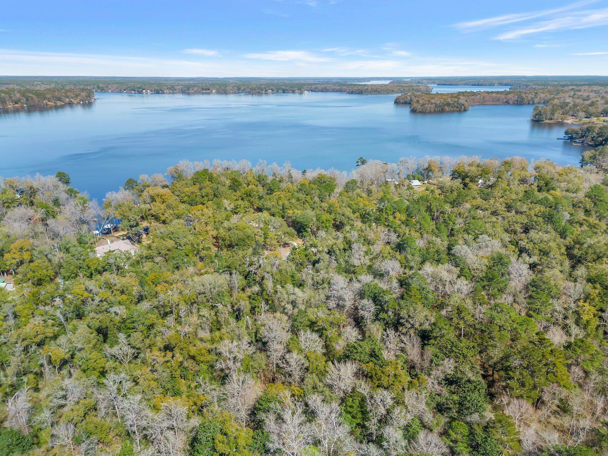 0 Parramore Shores Road Tallahassee, FL 32310 - Photo 8 of 14