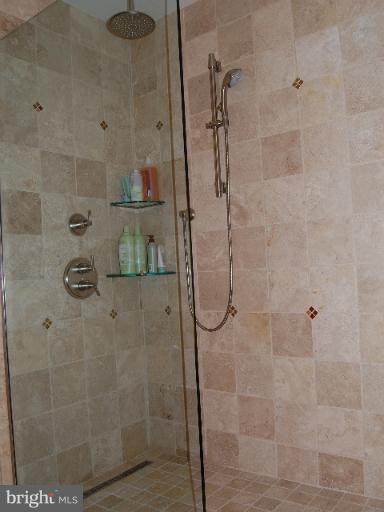 11429 Hollow Timber Way Reston, VA 20194 - Photo 25 of 30 Bath (Master)