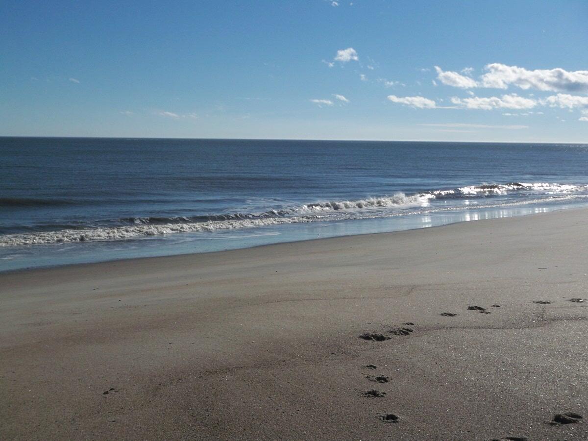 1408 Jungle Road Edisto Island, SC 29438 - Photo 2 of 57 2