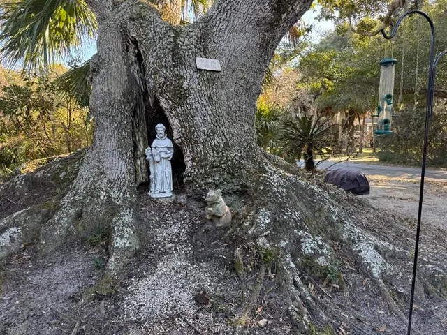 $798,780 | 1408 Jungle Road, Edisto Island, SC 29438