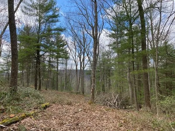 $24,900 | Magnolia Drive, Glen Spey, NY 12737