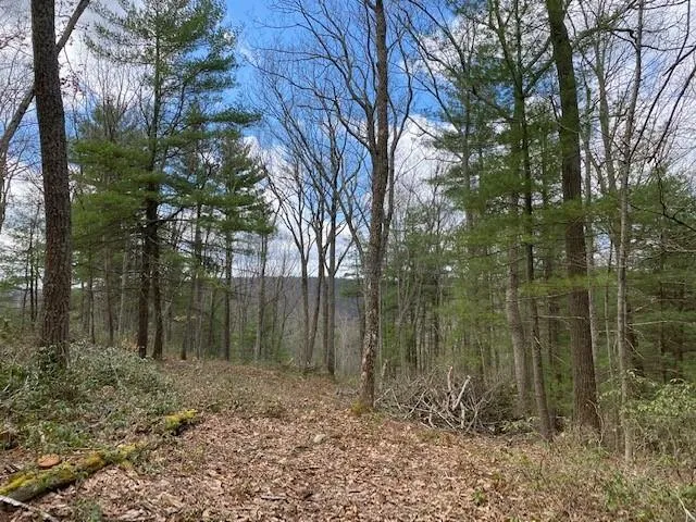 $24,900 | Magnolia Drive, Glen Spey, NY 12737