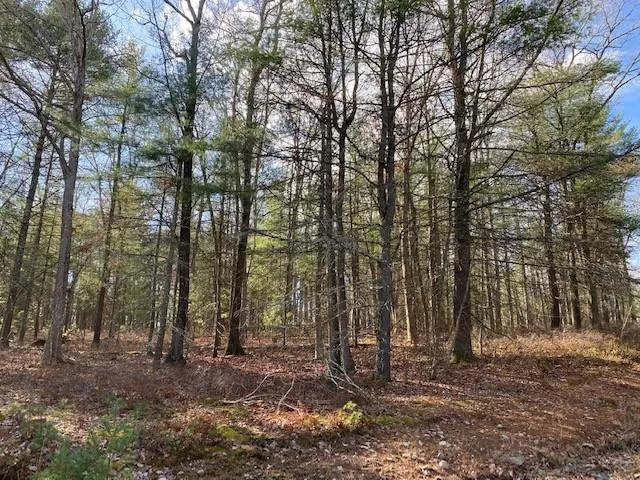 $24,900 | Magnolia Drive, Glen Spey, NY 12737